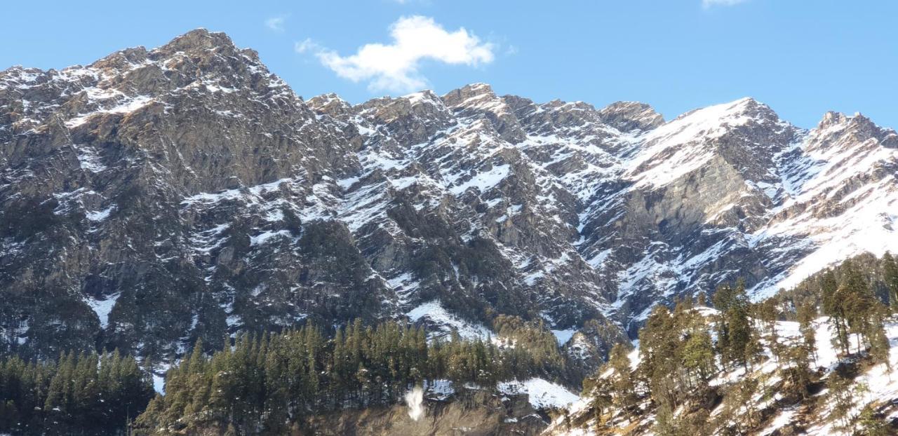 بيت شباب Backpackers Headquarter Manali المظهر الخارجي الصورة
