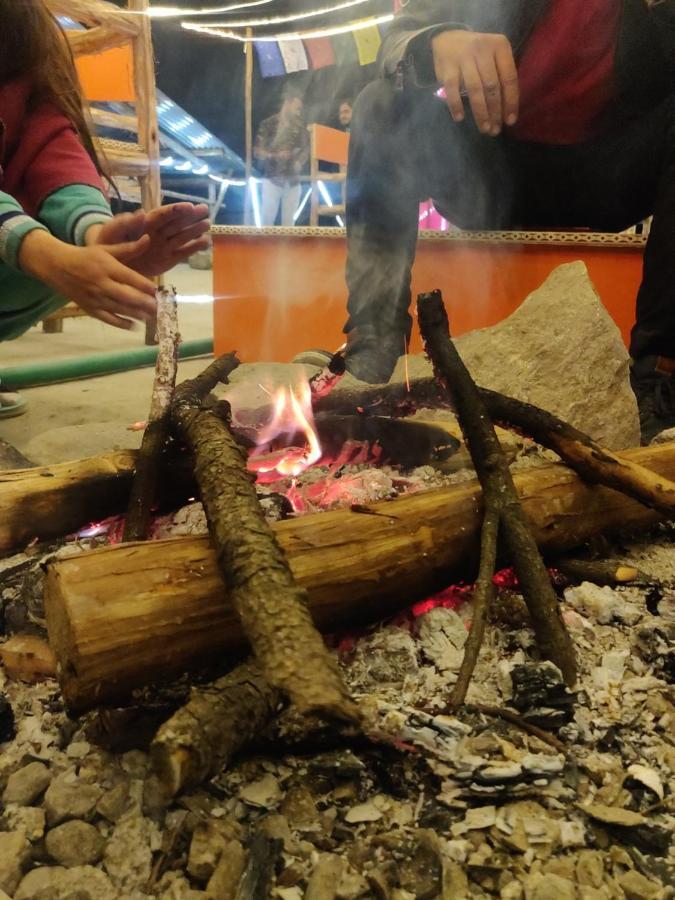 بيت شباب Backpackers Headquarter Manali المظهر الخارجي الصورة